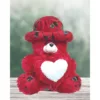 Teddy Bear Cushion with Photo on Heart